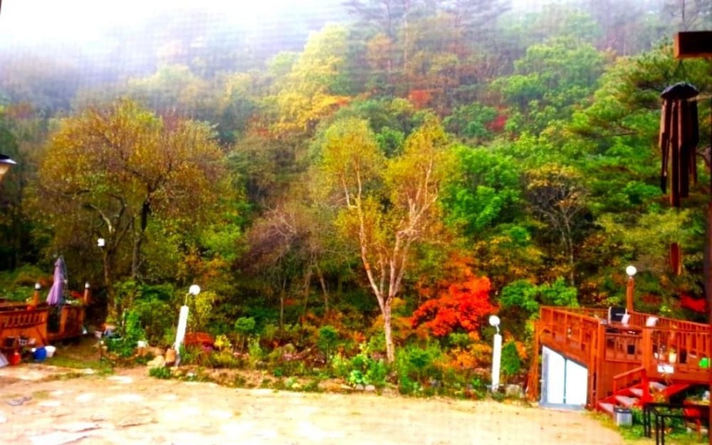 Фото Jeongseon Daon Pension