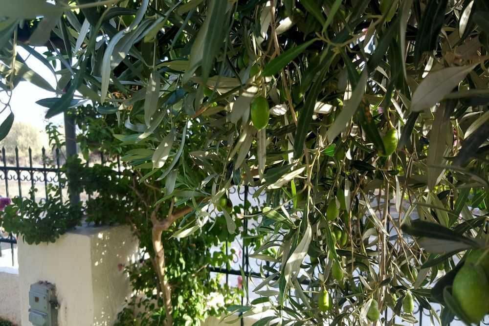 Фото Villa Christina