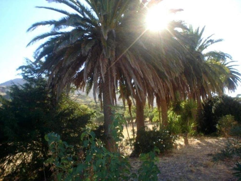 Фото L'Antico Casale