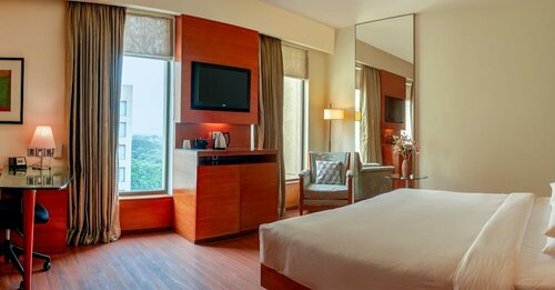 Внешний вид отеля Hyatt Pune в Пуне, фото 4