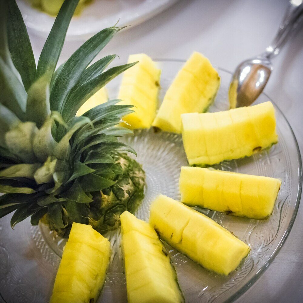 Фото Burghotel Haselünne