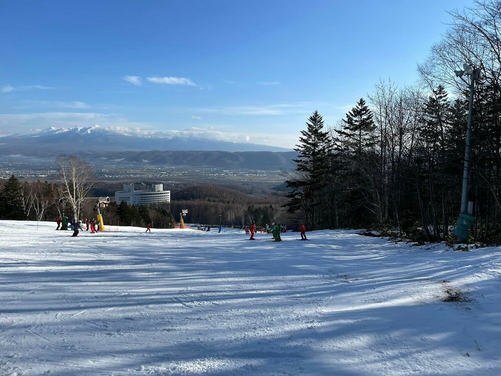 Фото Furano Natulux Hotel