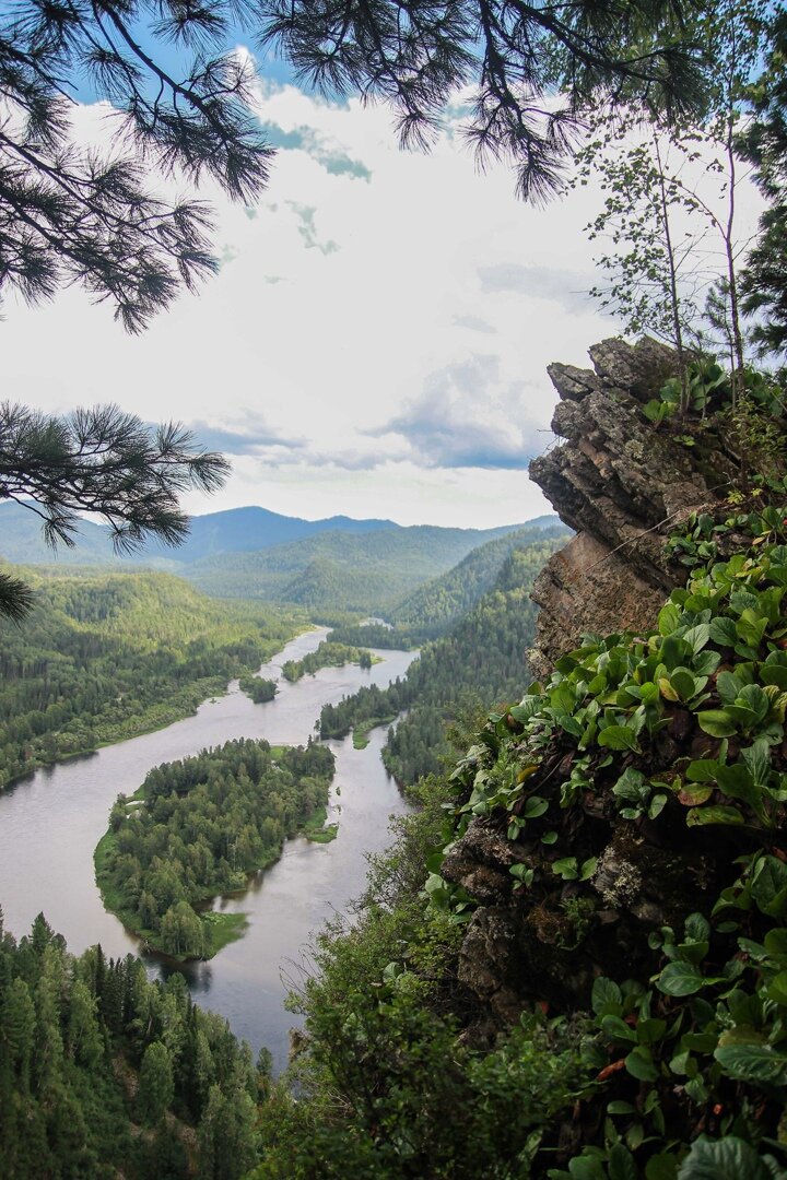Фото Усадьба Лукоморье