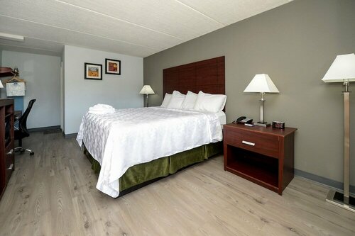 Гостиница Americas Best Value Inn Central Valley в Монро
