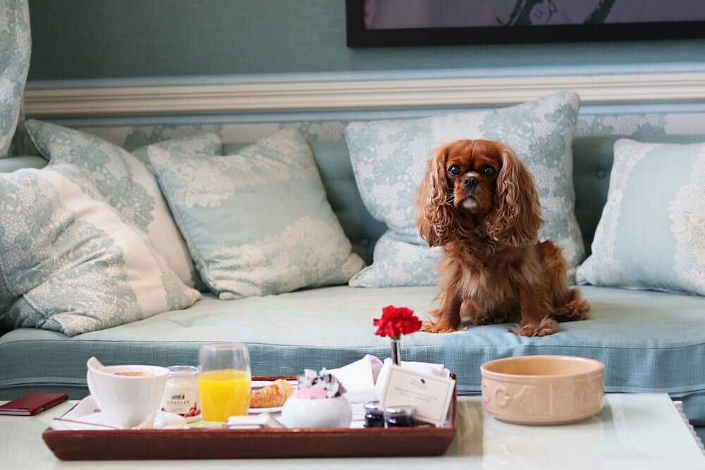 Фото The Montague On The Gardens by Red Carnation Hotel Collection