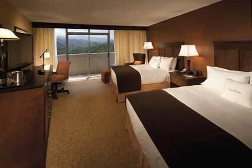 Гостиница The Park Vista - a DoubleTree by Hilton Hotel - Gatlinburg