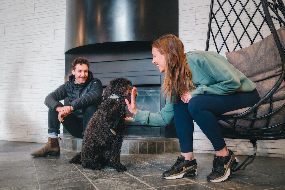 Фото Aava Whistler Hotel