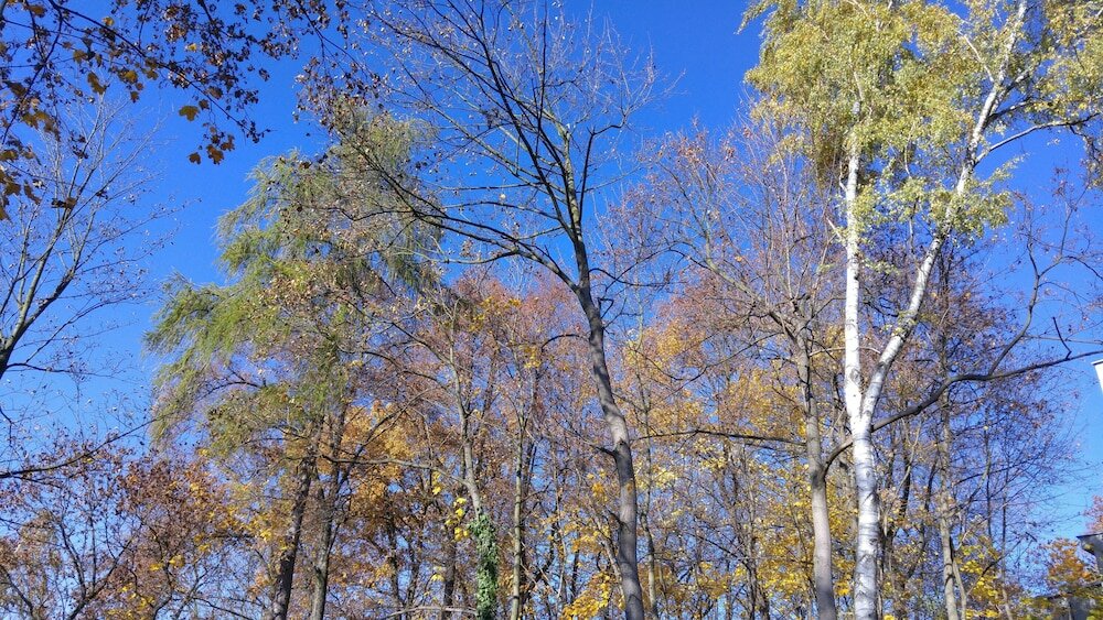 Фото Apartma SunGarden Liberec