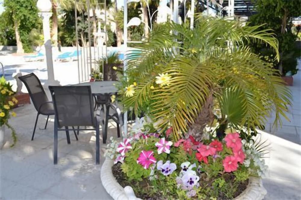 Фото Tasiana Star