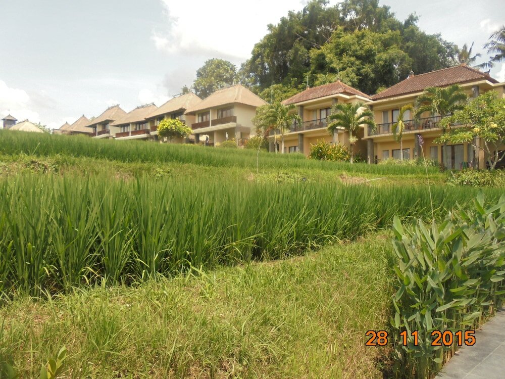 Фото 194778772671