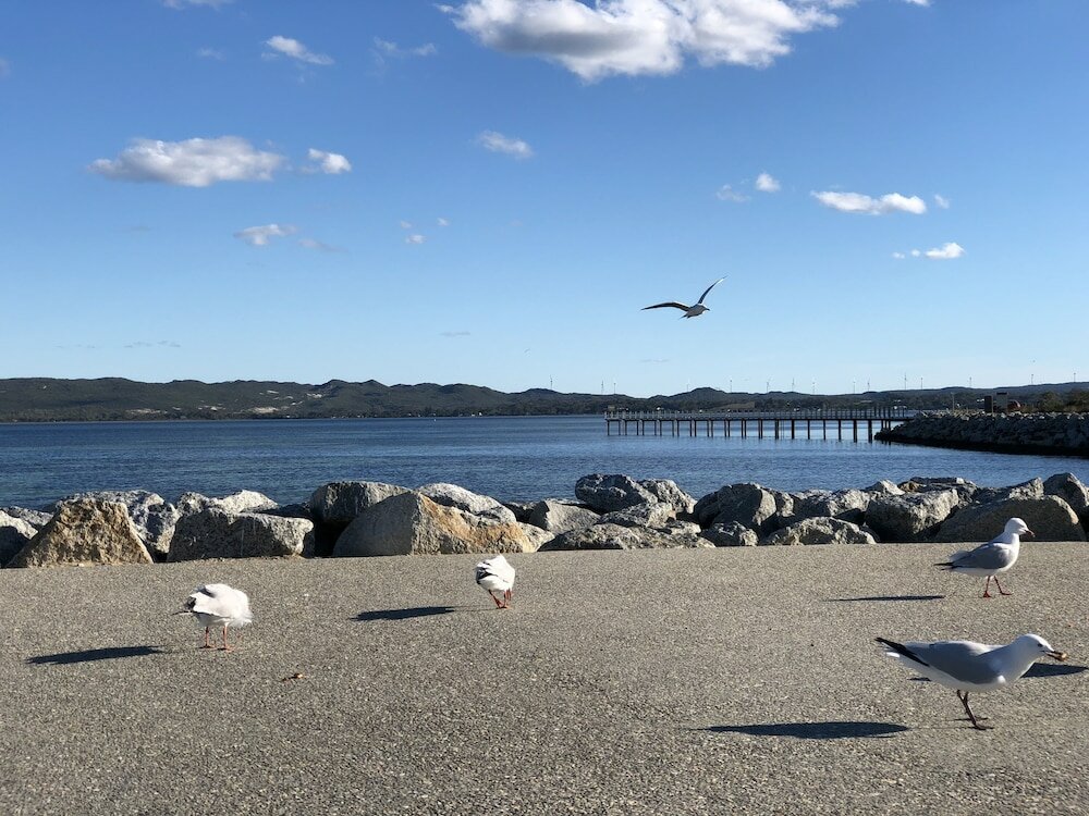 Фото Albany Foreshore Guest House