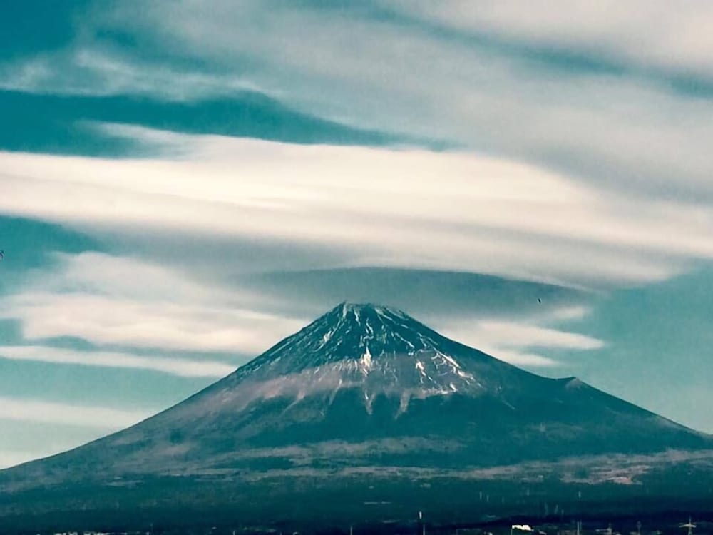 Фото Fuji Park Hotel