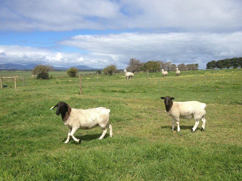 Фото Promhills Cabins