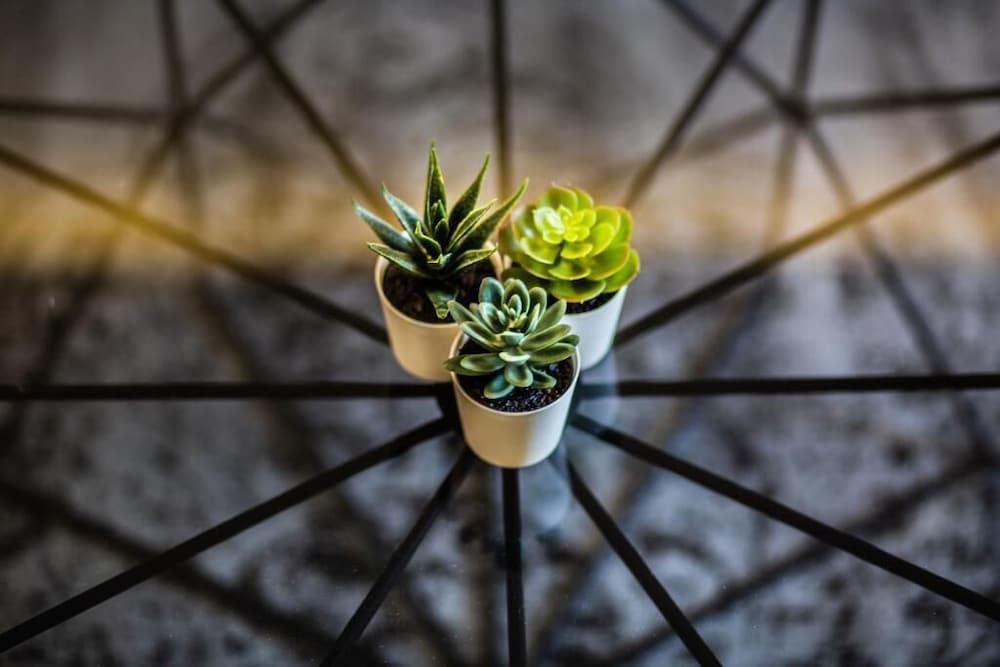 Фото Marcius Luxury Apartment