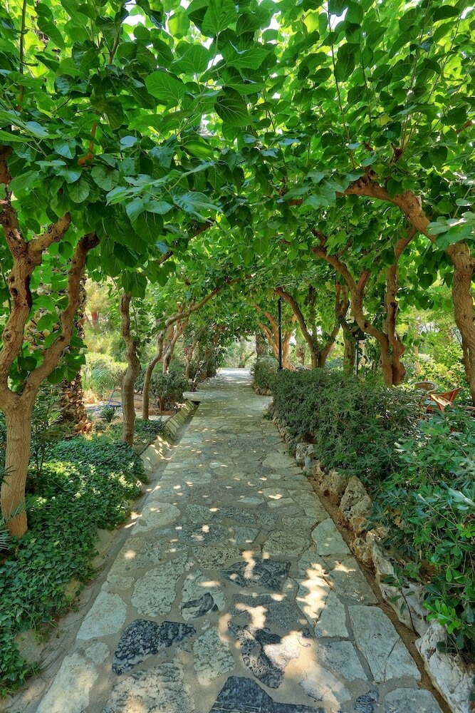 Фото Apollonia Beach Resort & SPA