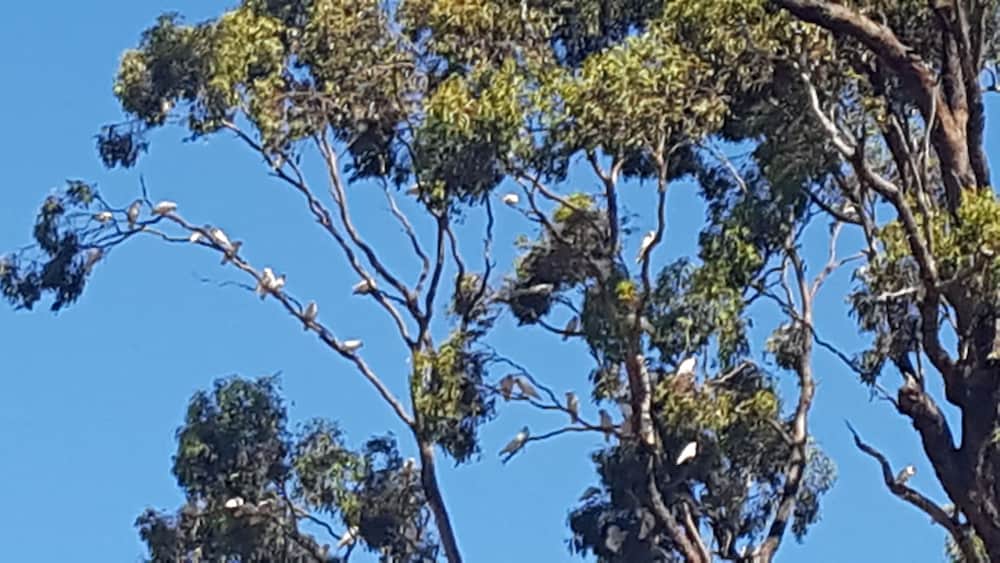 Фото Seymour Motel