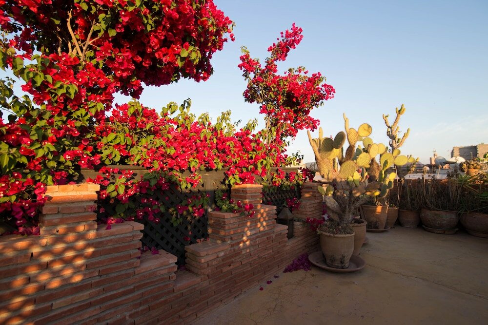 Фото Riad Samsli