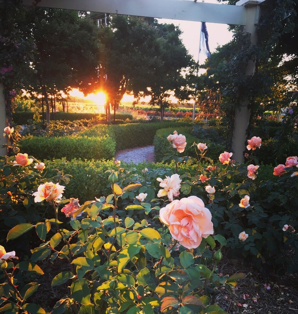 Фото Barossa House