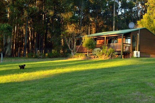 Внешний вид отеля Diamond Forest Farm Stay в Шире Манжимуте, фото 1