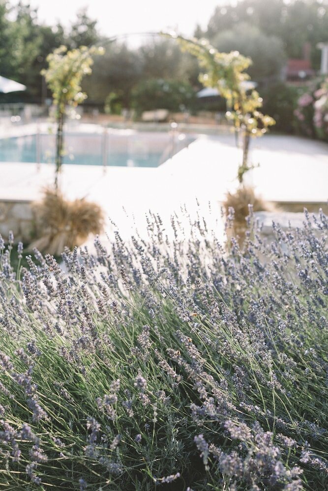 Фото Tenuta Marchesi Fezia