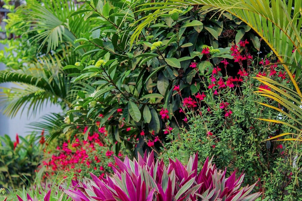 Фото Grafo Centre