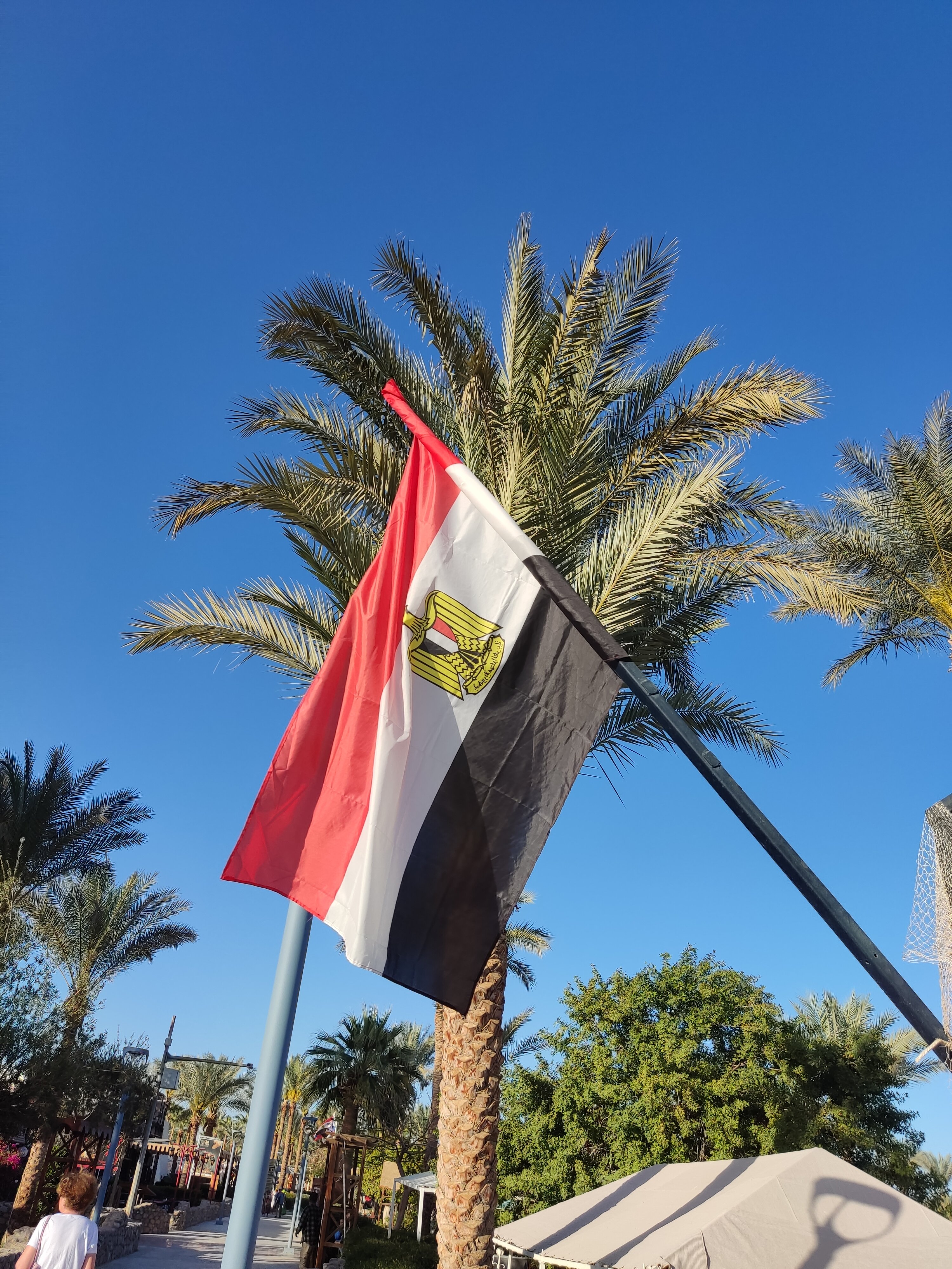 Фото Grand Rotana Resort & SPA 