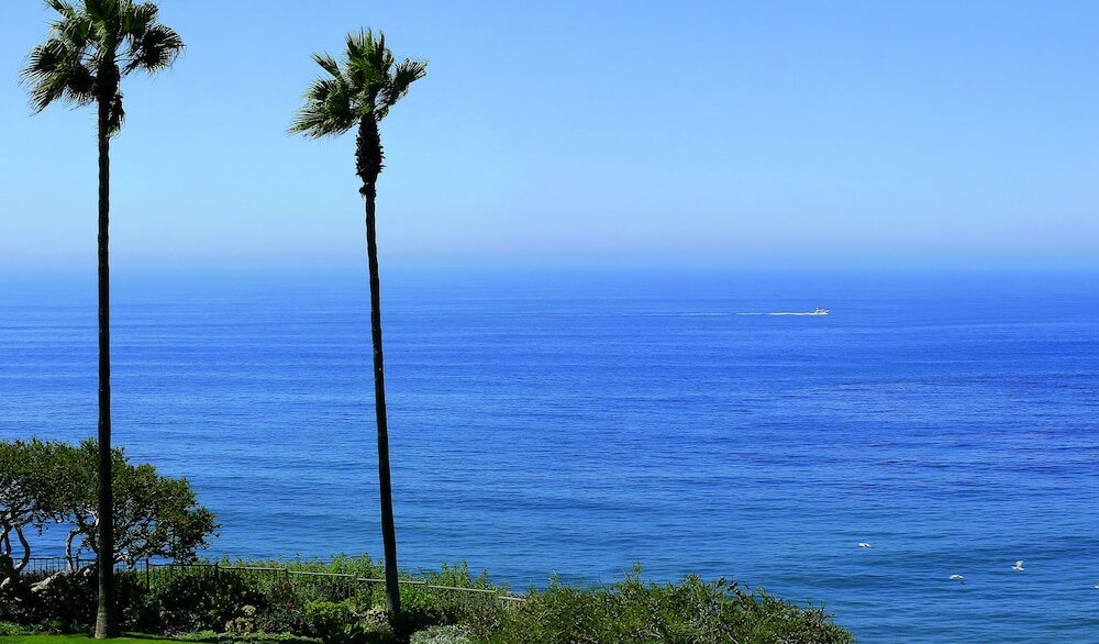 Фото The Ritz-Carlton, Laguna Niguel