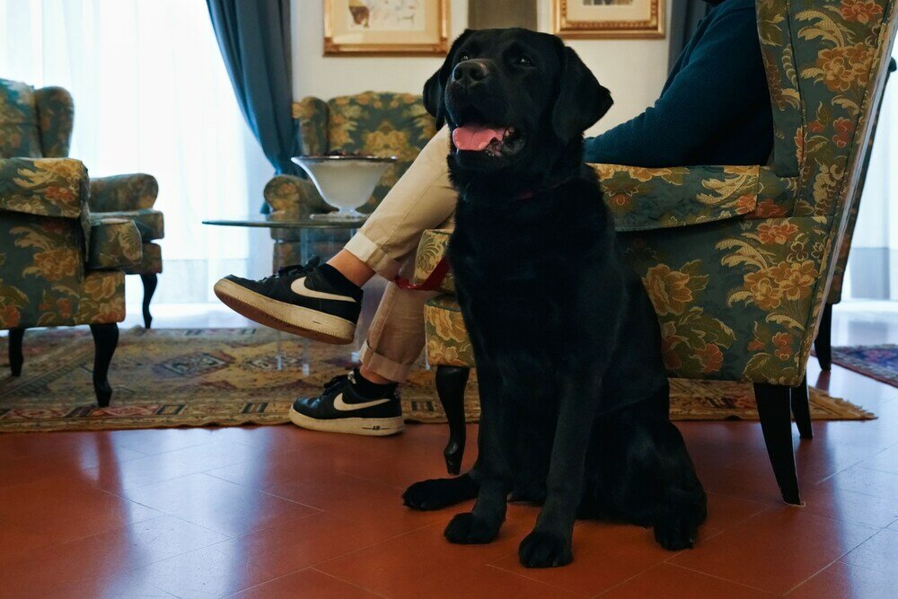 Фото Rivoli Boutique Hotel