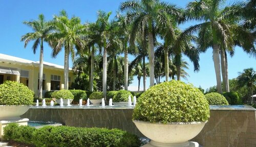 Гостиница Hyatt Regency Coconut Point Resort and Spa в Бонита Спрингс