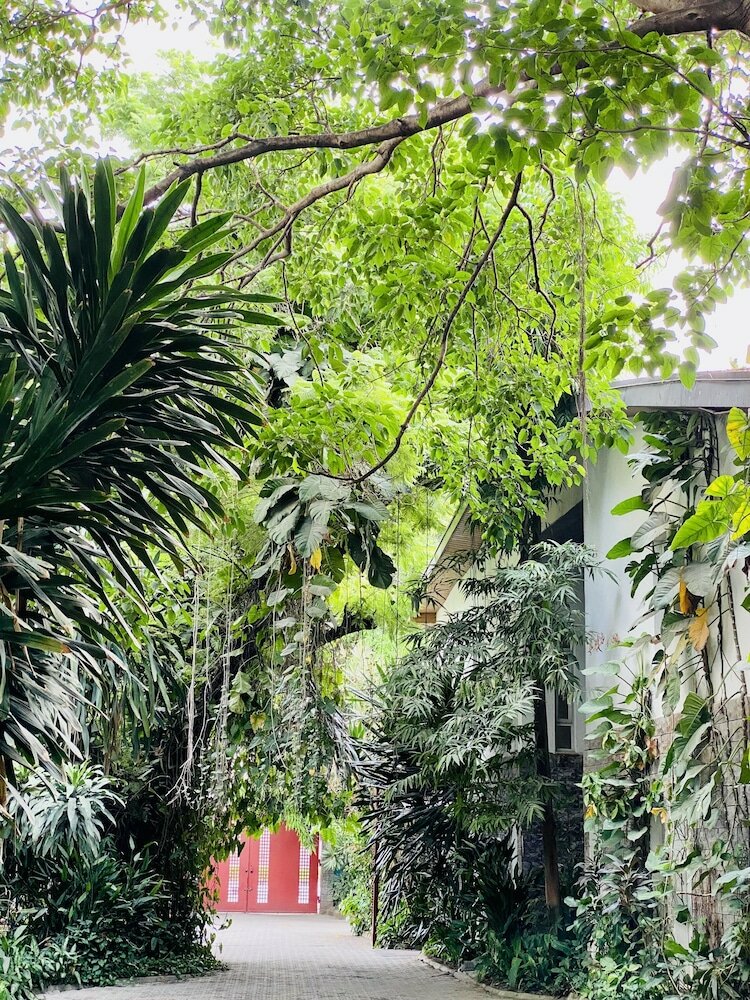 Фото La Cour - Hotels