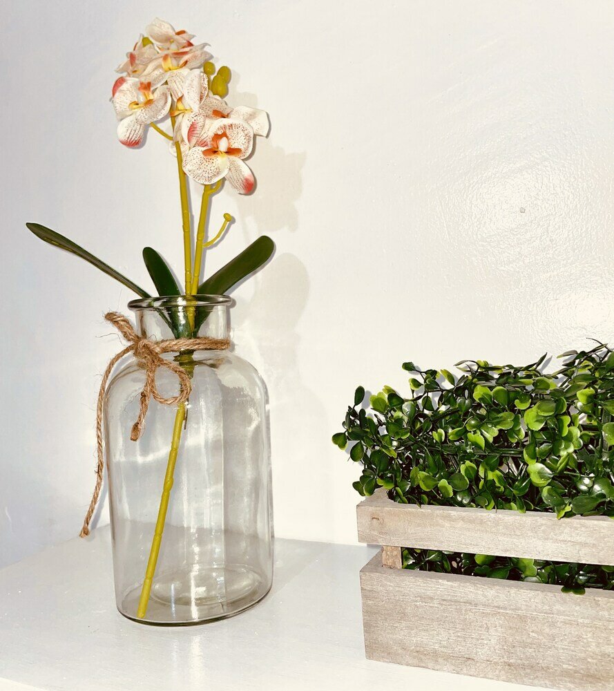 Фото Amancio's Balai