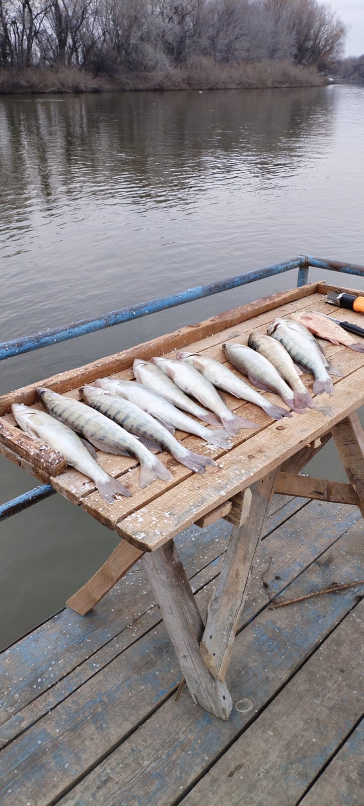 Фото КигачОК