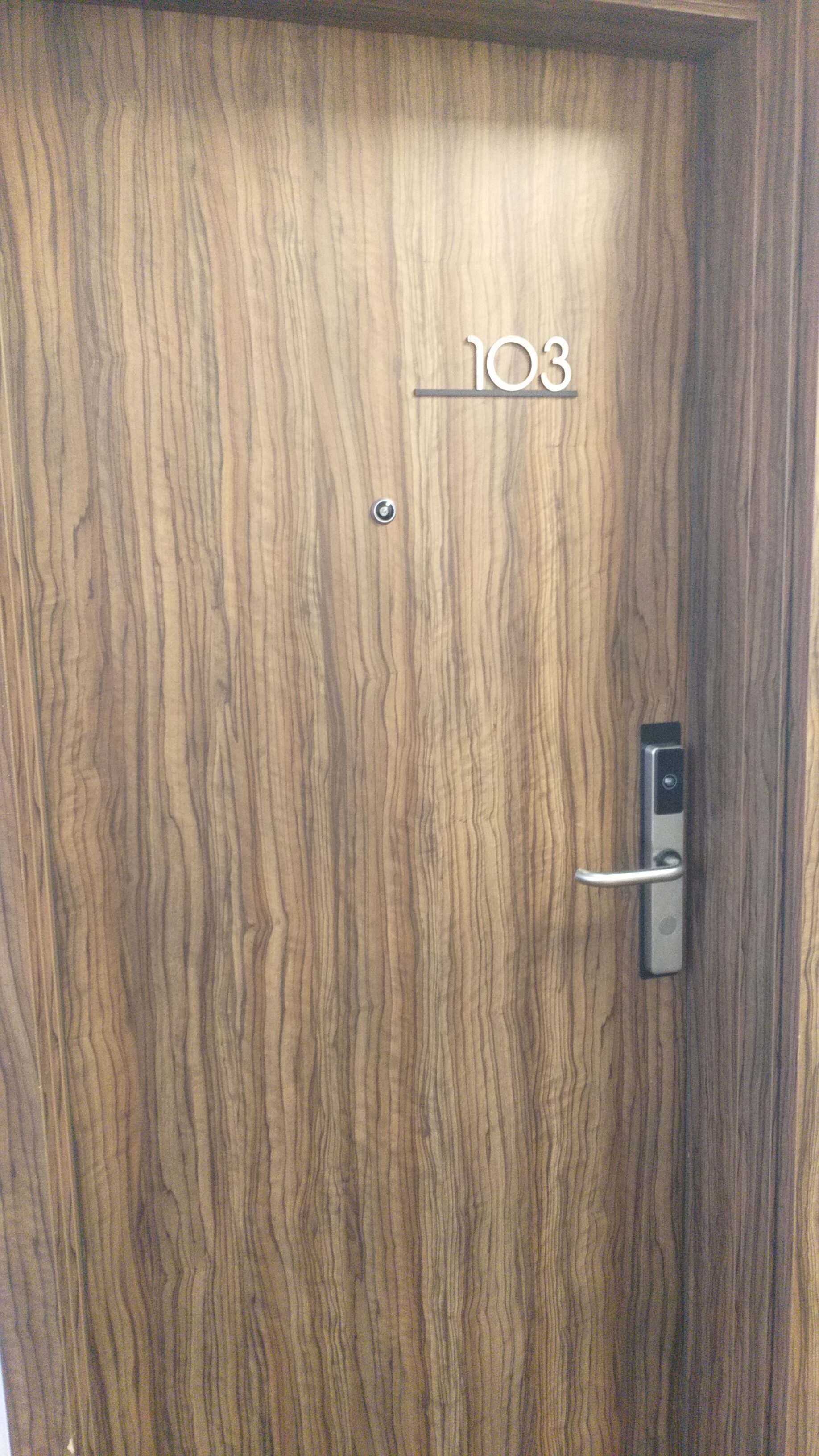 Фото Авион Внуково