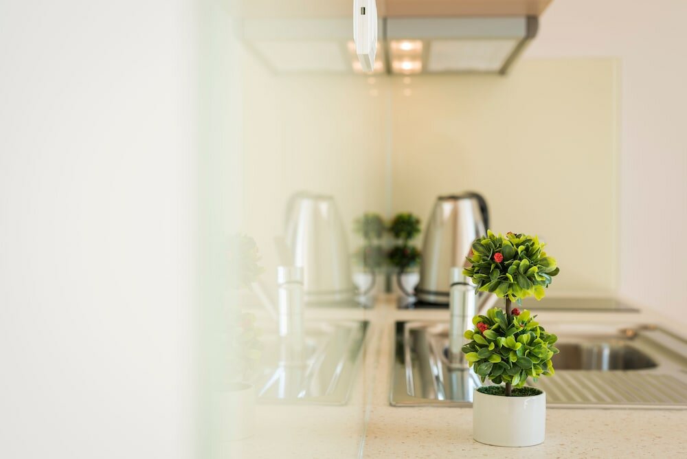 Фото Panorama Plus