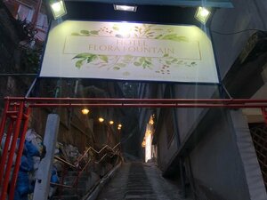 Гостиница Hotel Flora Fountain