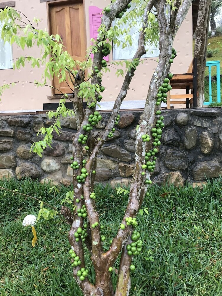 Фото 107287882912