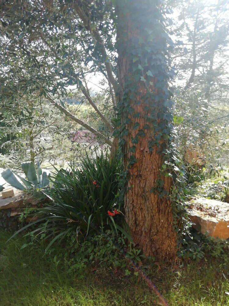 Фото Casale Sant'Elia