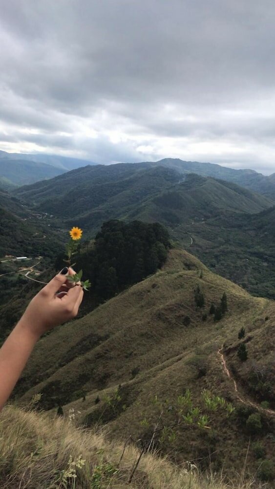 Фото 107287882912