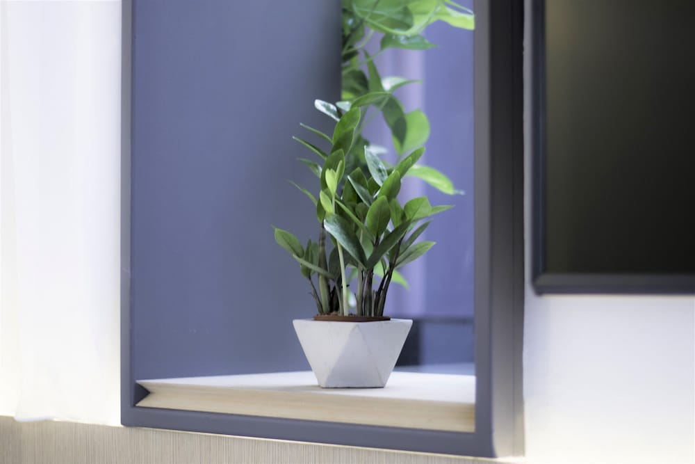 Фото Hotel NuVe Elements