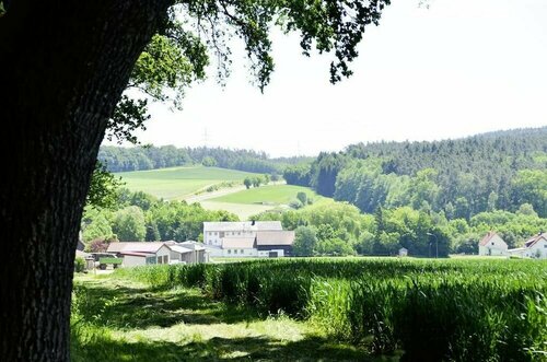 Гостиница Hotel-Gasthof Am Forsthof