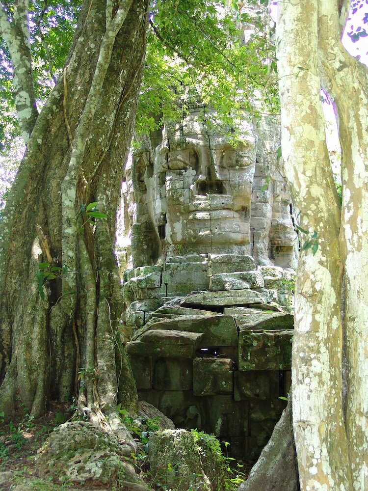 Фото The Siem Reap Chilled Backpacker