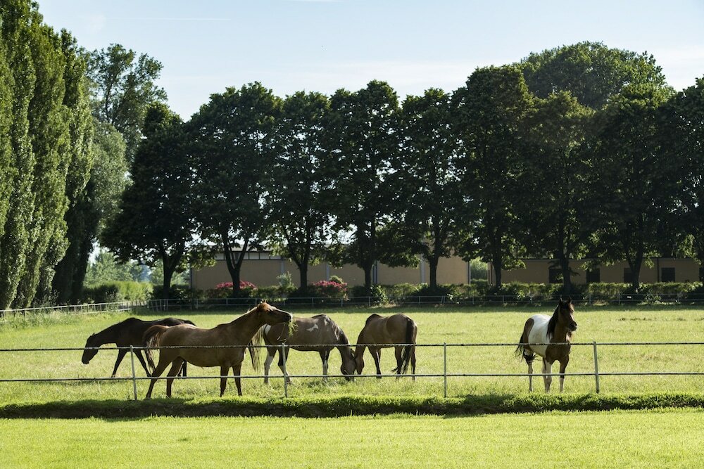 Фото Agriturismo Relais Tenuta il Cigno