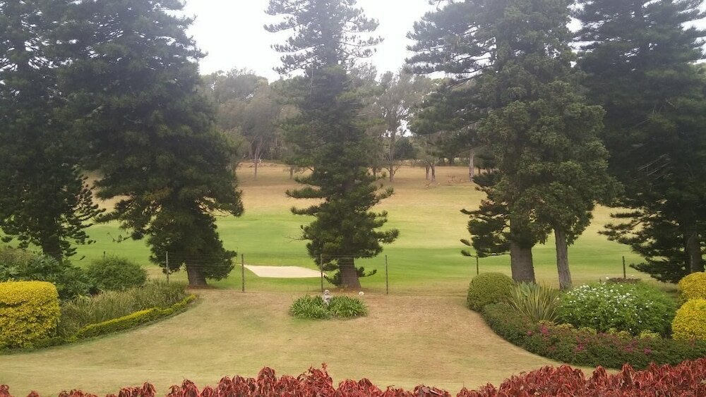 Фото Pug and Putter