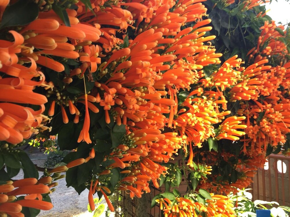 Фото Mitkhoonyoum Hotel