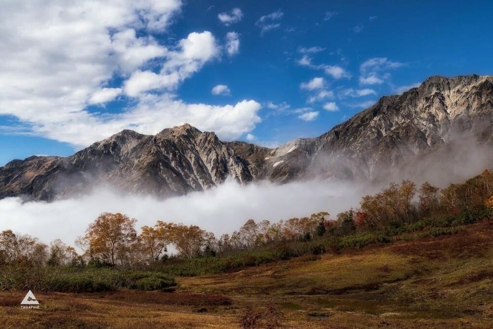 Фото Murano Hotel Shinya
