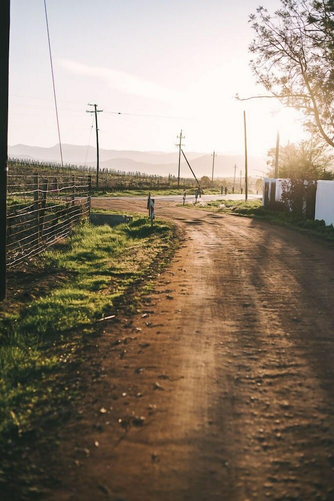 Фото Shiraz Estate Villa & Studios