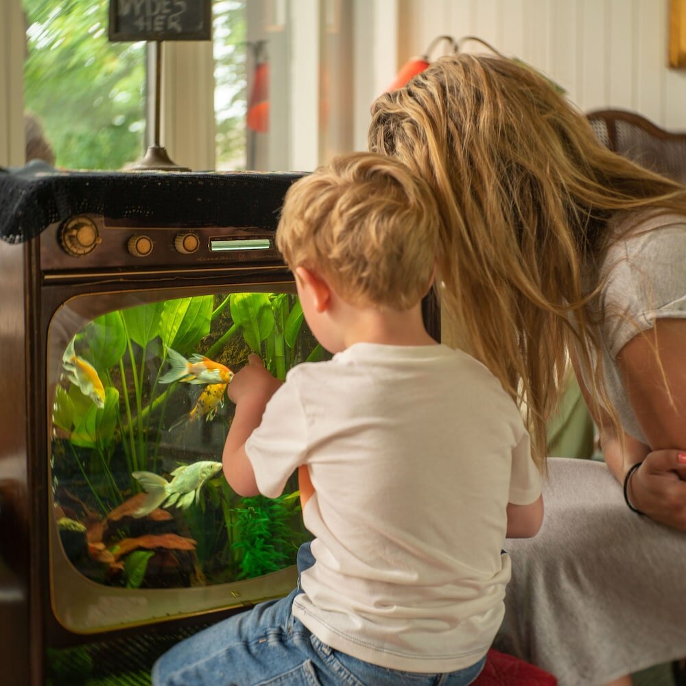 Фото Fredensborg Vandrerhjem - Hostel