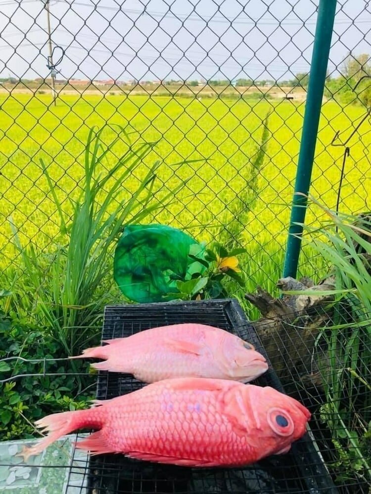 Фото Gateway Inn Hoi An