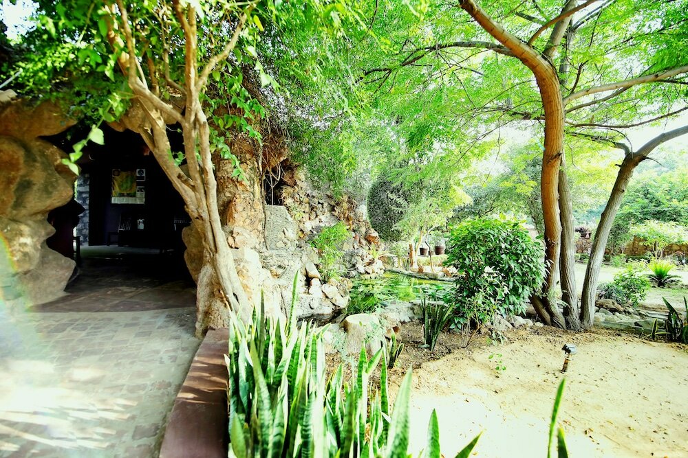 Фото Treehouse The Pugmark