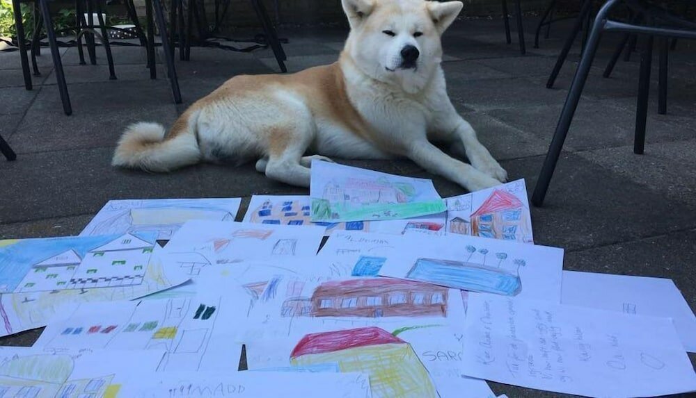 Фото Fredensborg Vandrerhjem - Hostel